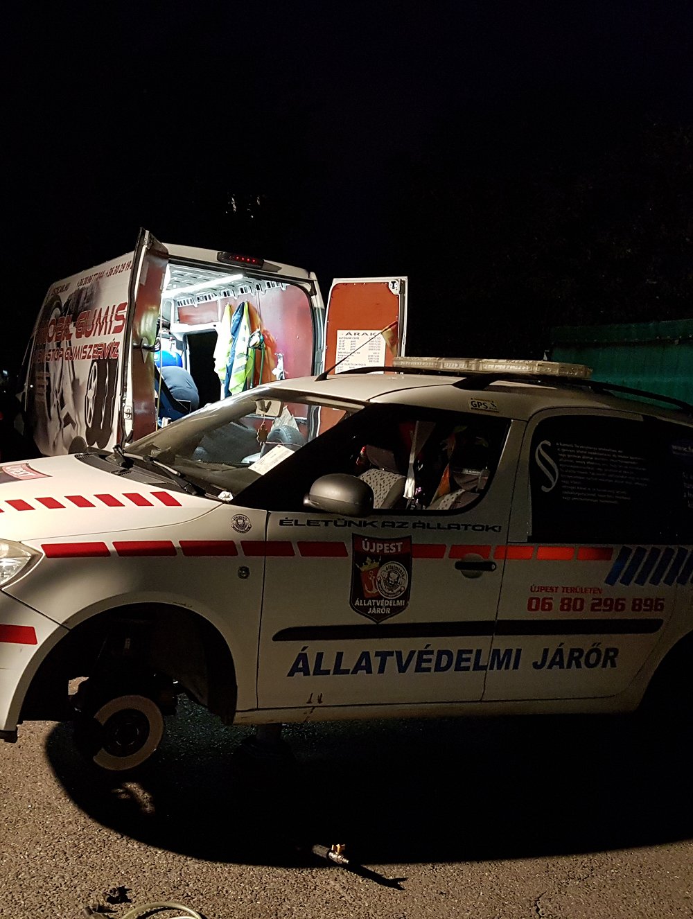 Állatmentő liga
